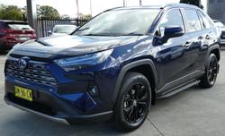 2024 Toyota
                RAV4 Cruiser
