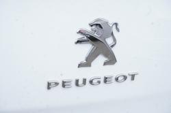 2021 Peugeot
                Expert Pro