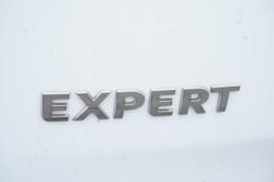2021 Peugeot
                Expert Pro
