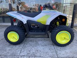 CFMOTO C Force EV110