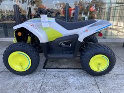 2022 CFMOTO C FORCE EV110