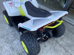 2022 CFMOTO C FORCE EV110