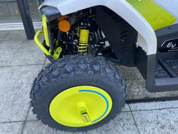 2022 CFMOTO C FORCE EV110