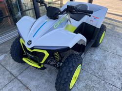 2022 CFMOTO C FORCE EV110