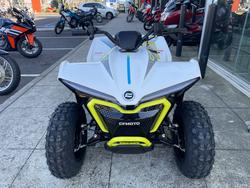 2022 CFMOTO C FORCE EV110