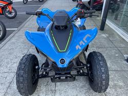 2025 CFMOTO C FORCE 110 SE BLUE