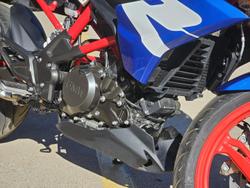 2025 BMW G 310 R