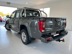 2020 Great Wall
Steed