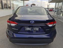 2025 Toyota
                Corolla Ascent Sport Hybrid