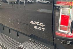 2025 GWM Cannon Ultra