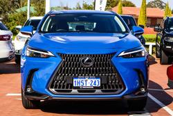 2022 Lexus
                NX 250
