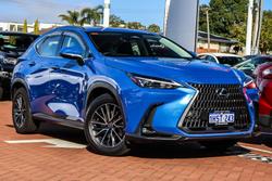 2022 Lexus
                NX 250