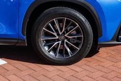 2022 Lexus
                NX 250
