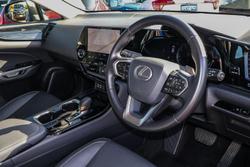 2022 Lexus
                NX 250