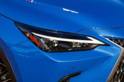 2022 Lexus
                NX 250