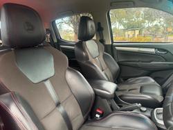 2019 HSV
Colorado SportsCat