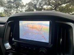 2019 HSV
Colorado SportsCat