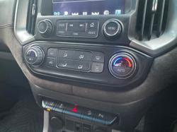 2019 HSV
Colorado SportsCat