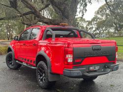 2019 HSV
Colorado SportsCat