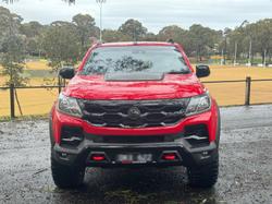 2019 HSV
Colorado SportsCat