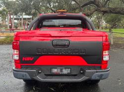 2019 HSV
Colorado SportsCat