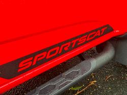 2019 HSV
Colorado SportsCat