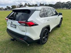 2019 Toyota
RAV4 Cruiser