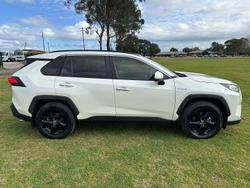 2019 Toyota
RAV4 Cruiser