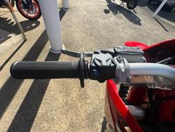 2024 Gas Gas EC 300 EC Red