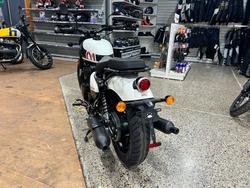2025 Royal Enfield SHOTGUN 650 WHITE