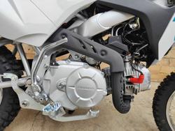 2025 HONDA CRF110F MINI BIKE WHITE
