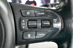 2017 Kia
Carnival Platinum