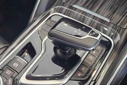 2022 LDV
                D90 Executive