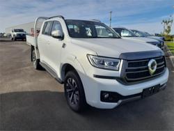 2025 GWM
                CANNON LUX (4x4)