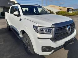 2025 GWM
CANNON LUX (4x4)