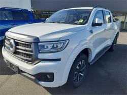2025 GWM
CANNON LUX (4x4)