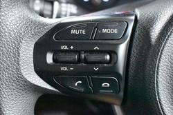 2017 Kia
                Rio S