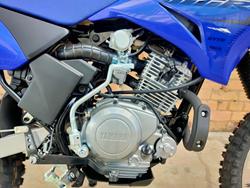 2023 YAMAHA TT-R125LWE MINI BIKE BLUE