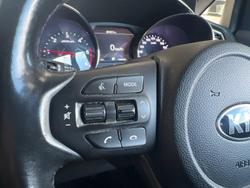 2019 Kia
Carnival Platinum