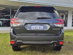 2019 Subaru Forester 2.5i Premium S5 MY19 AWD Dark Grey