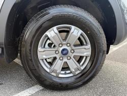 2024 Ford
                Ranger XLT