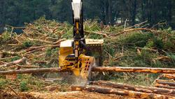 0 Tigercat TH573 Yellow