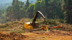 0 Tigercat TH573 Yellow