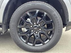 2024 Ford
                Everest Sport