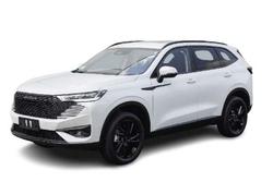 2025 GWM
                Haval H6 Ultra Hybrid