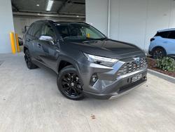 2024 Toyota
                RAV4 Cruiser