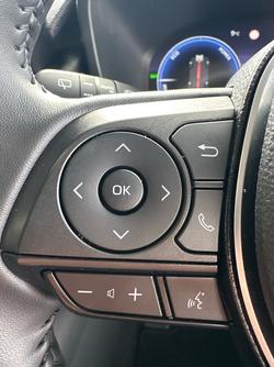 2024 Toyota
                RAV4 Cruiser