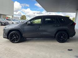 2024 Toyota
                RAV4 Cruiser
