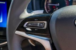 2023 LDV
T60 Max LUXE Mega Tub
