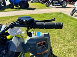 2025 Polaris 2025 POLARIS 110CC OUTLAW 110 ATV lime green